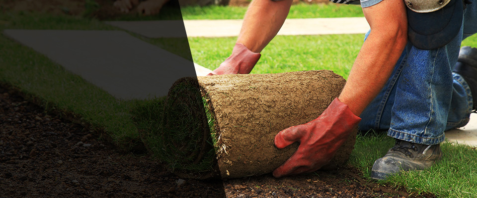 Pompton Plains Landscapers